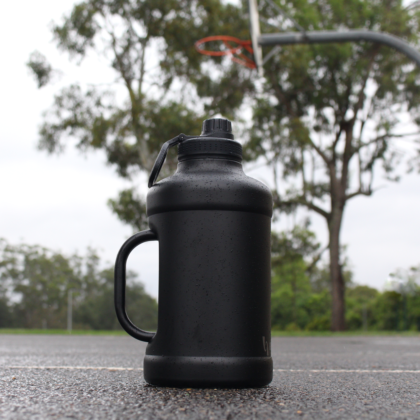 Stainless Steel Reusable Bottle with Handle - 1.9L / 64oz